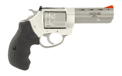 CHARTER ARMS PTHFNDR II 22WMR 8RD SS - Image 2